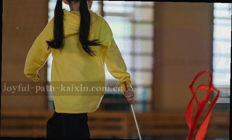 两本分类手账并排摊开，一本标着休闲分类，一本标着竞技标签